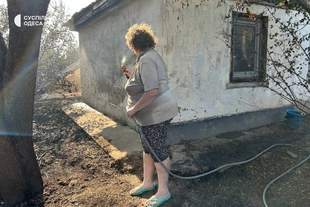 На Одещині горів притулок, де живуть 100 котів