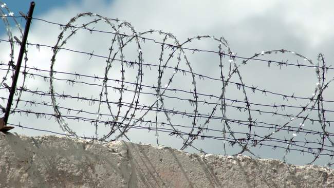 Колонія. ФОТО: istockphoto.com