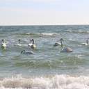 Первые выходные весны одесситы проводят у моря