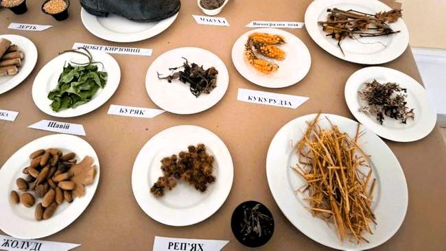 Выставка-реквием "Несокрушимый Голодомором". ФОТО: suspilne.media