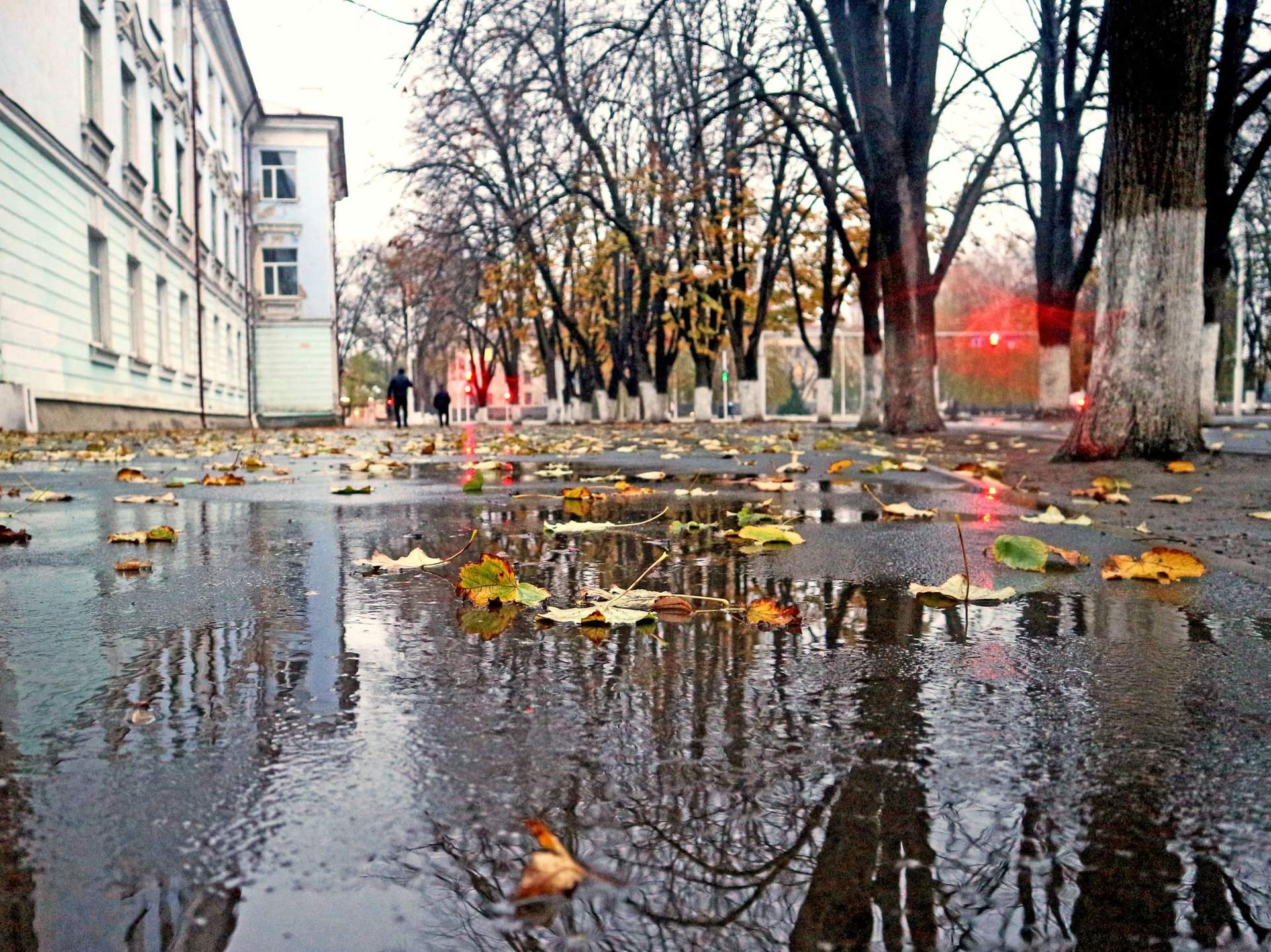 В Одесской области кое-где выпал первый снег
