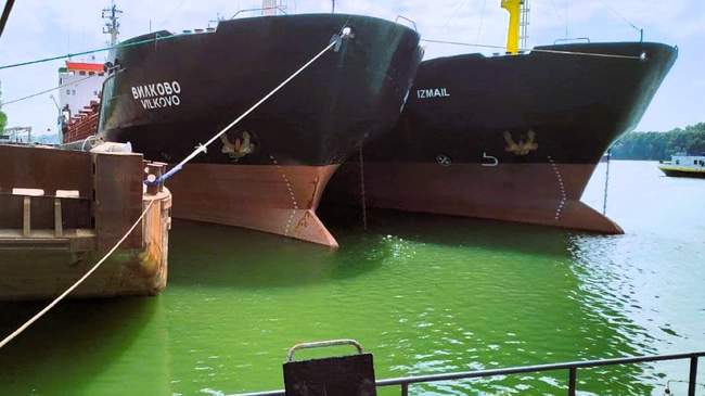 Ships in the port. PHOTO: Ukrainian Danube Shipping Company/Facebook