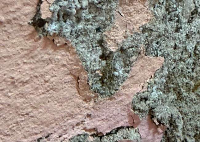 ФОТО: Elena Galamat Soomer