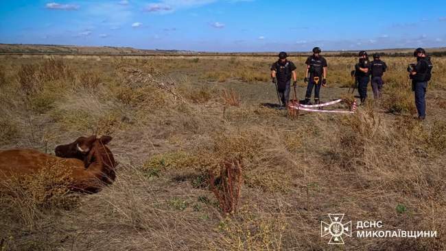 Фото: ДСНС України у Миколаївській області