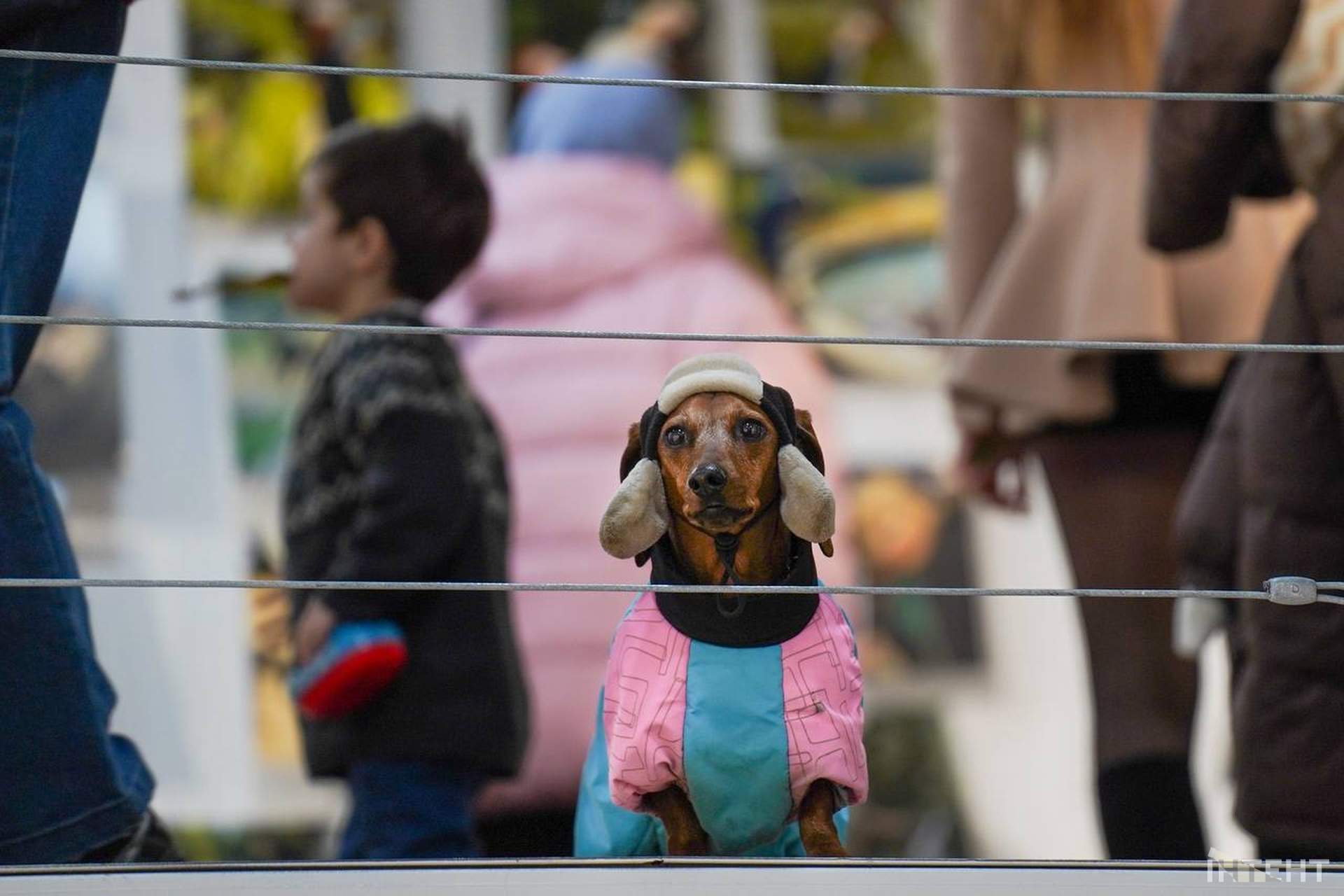 В Одесі відкрилася виставка, що поєднує фотографію й театр