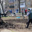 № 13 галерея В Одесі висадили алею кленів в пам'ять Праведників світу