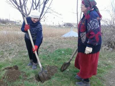 У Доброславі облаштовують п'ятий парк  - «Закоханих сердець»