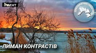 Дивовижний Південь: Сухий лиман – від річкової долини до морського порту