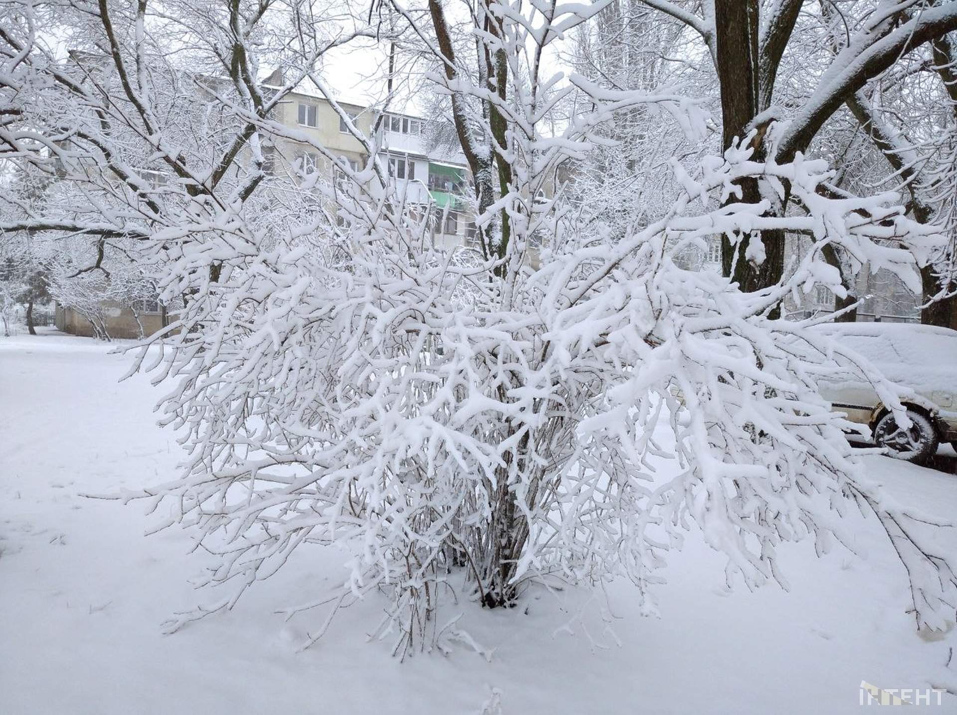 Зимова казка
