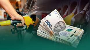 MP's ex-wife's company receives contract for fuel for Kherson and Mykolaiv regions