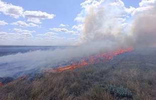 Огонь российской ПВО уничтожил тысячу гектаров в заповеднике Аскания-Нова