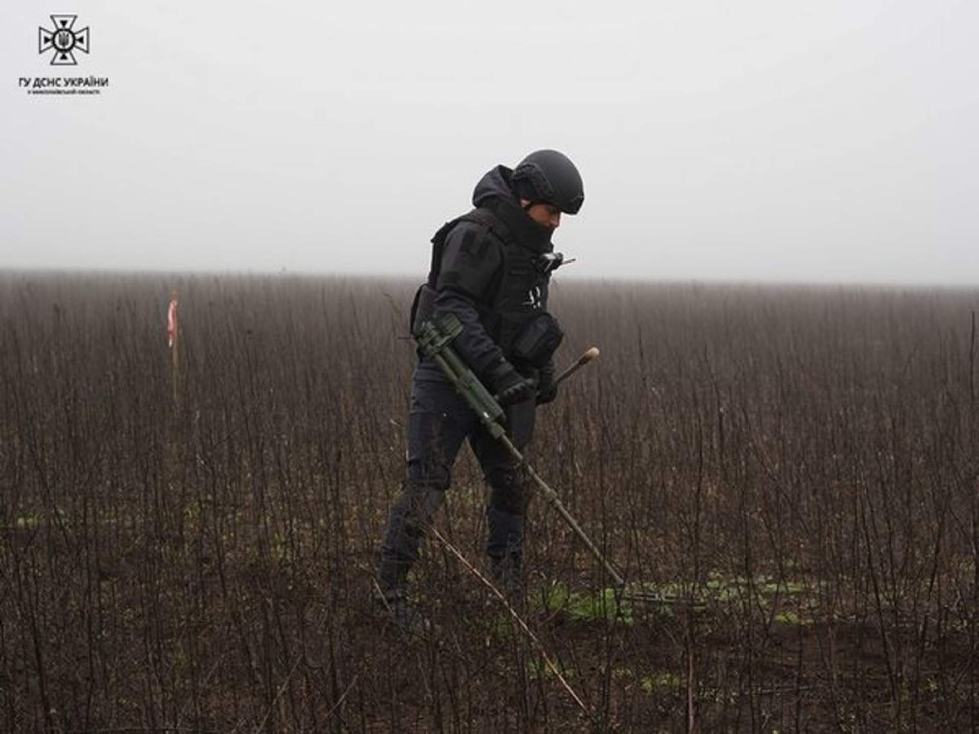 На Миколаївщині розмінували понад 3000 гектарів