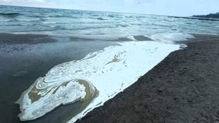 На узбережжі Одеси виявили соняшникову олію після ударів по порту