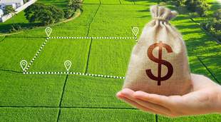 State Land Bank wins court case for 5 thousand hectares of land in Odesa region