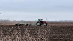 Миколаївський ліцей незаконно здав землю підприємству