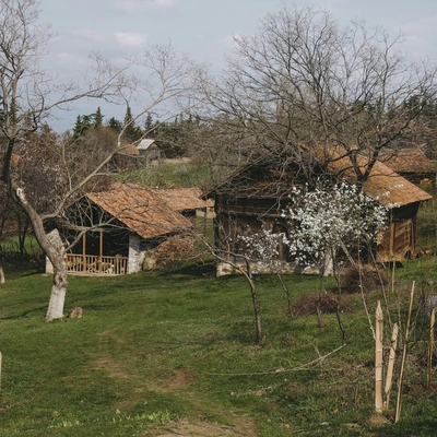 Тарутине