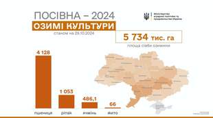Миколаївщина - у лідерах за посівами озимих