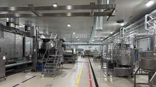 На Миколаївщині запланували будівництво нового заводу глибокого заморожування