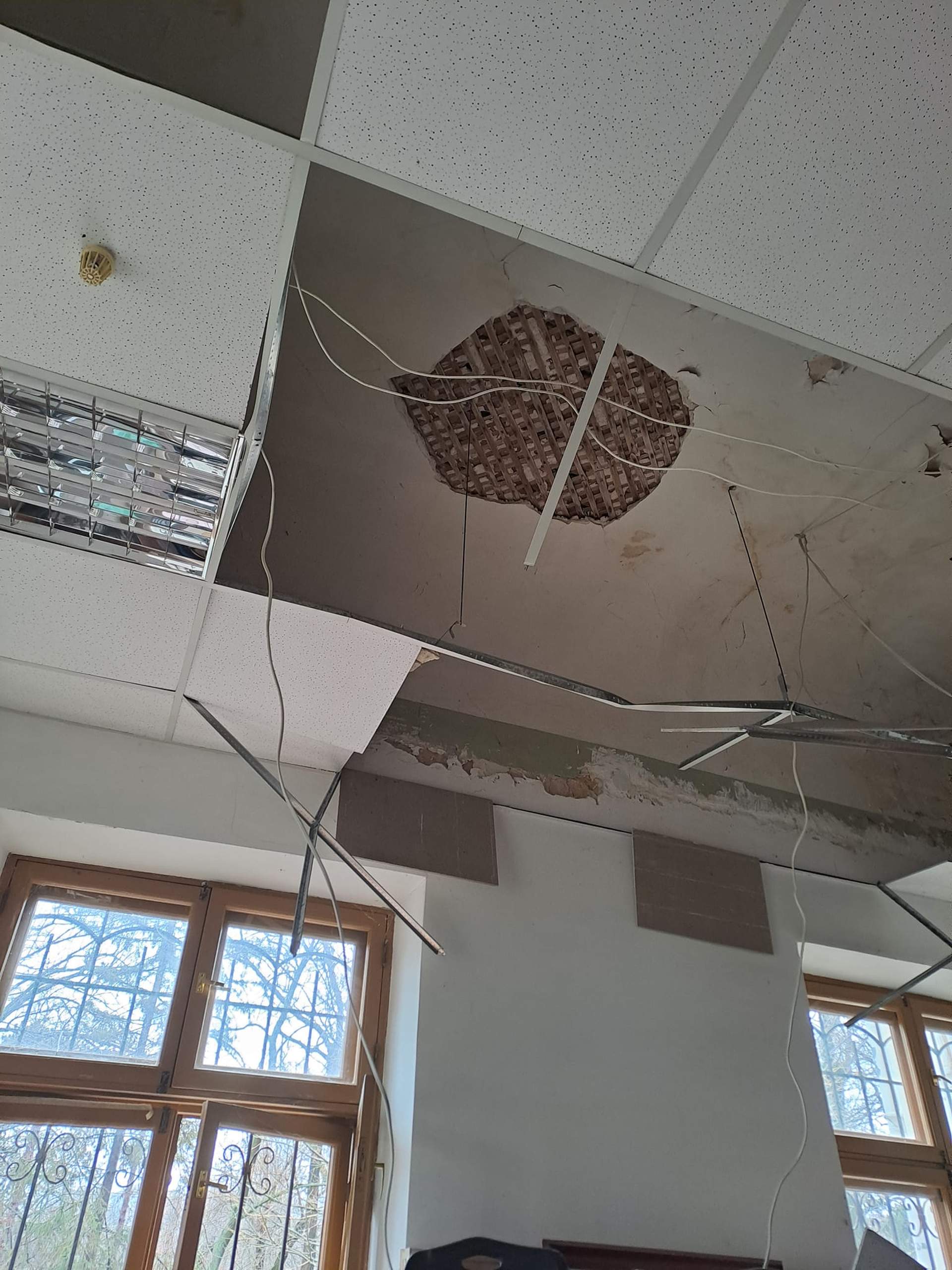 Ботанічний сад постраждав від ракетного удару по Одесі - наслідки