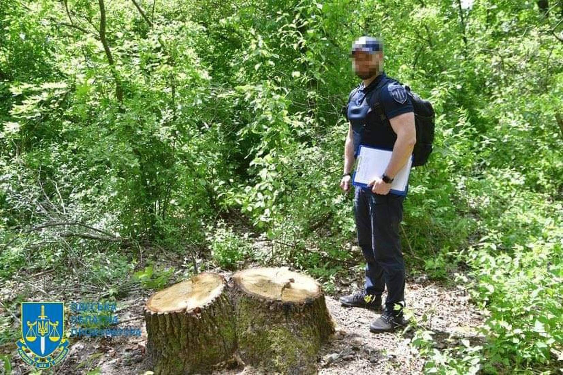 Масштабне знищення дерев у нацпарку на Одещині: кого будуть судити