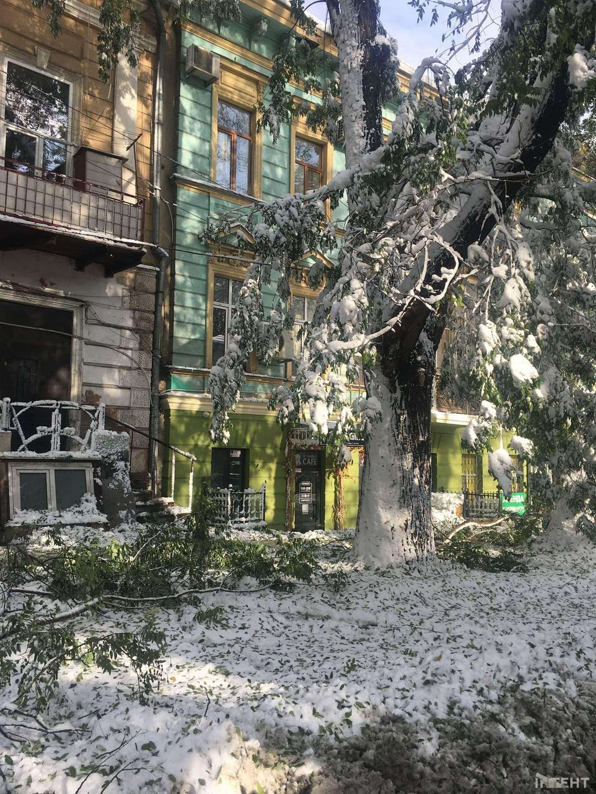 Повалені дерева та засніжена Одеса у світлинах Інтента
