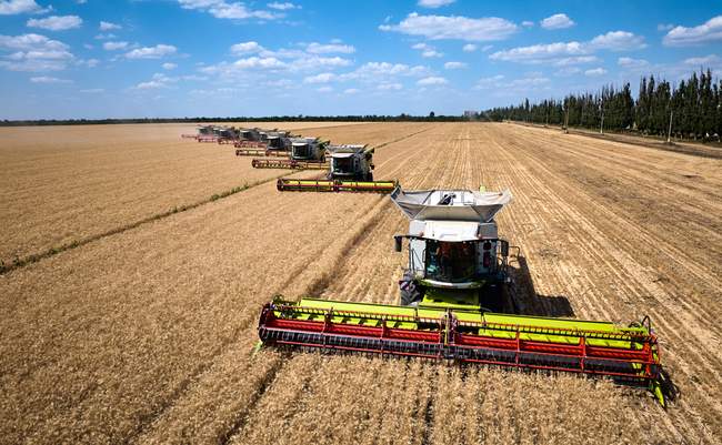 Фото: Нібулон
