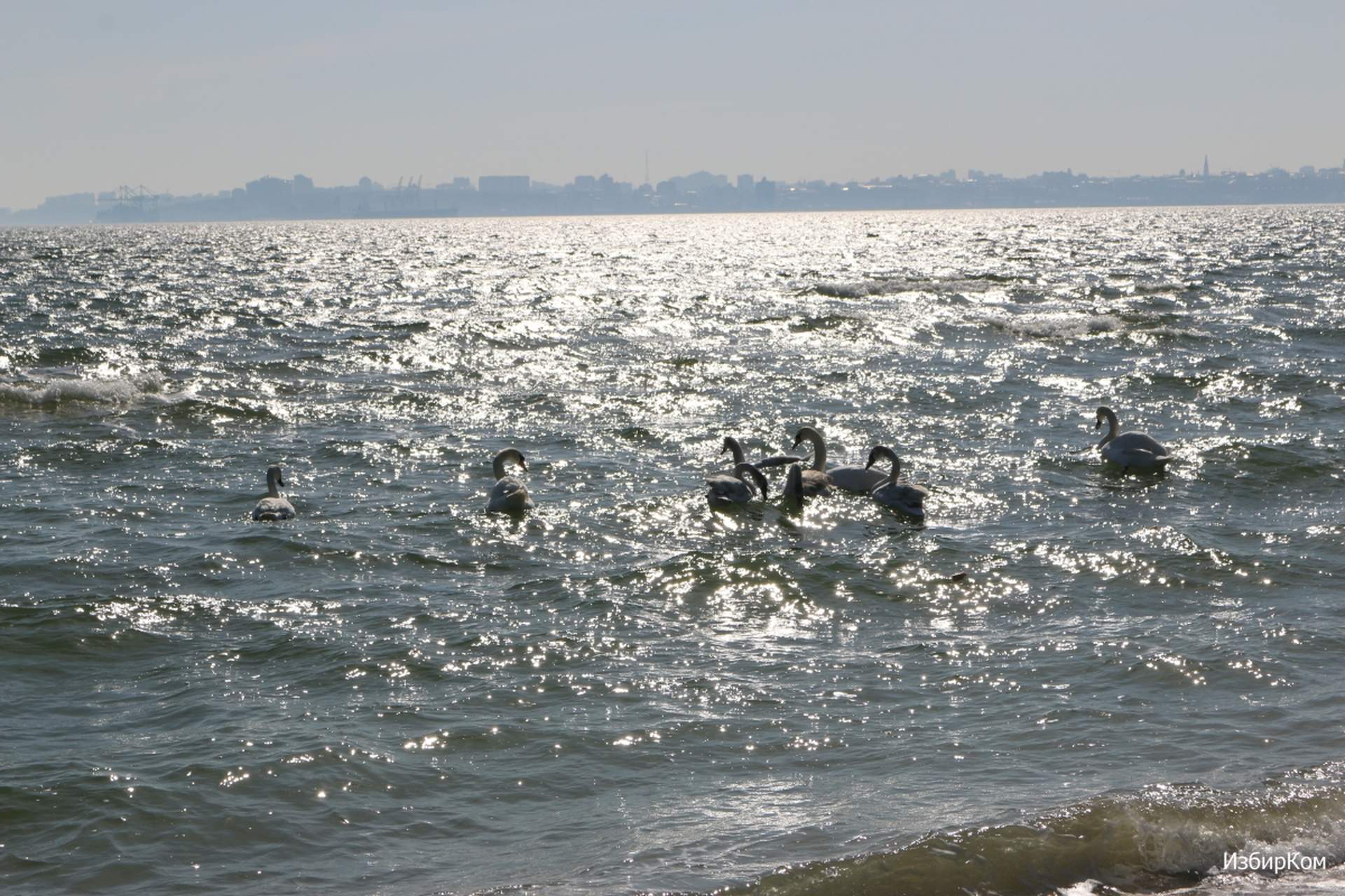 Первые выходные весны одесситы проводят у моря