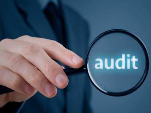 Керівництво одеського лісового господарство за копійки роздавало в оренду землю