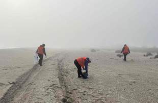 На Одещині ліквідують наслідки екологічної катастрофи