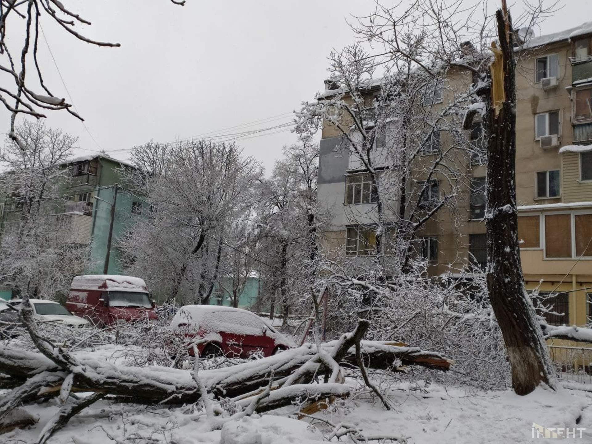 Із казки в лихо: снігопад повалив дерева та завдав одеситам збитків