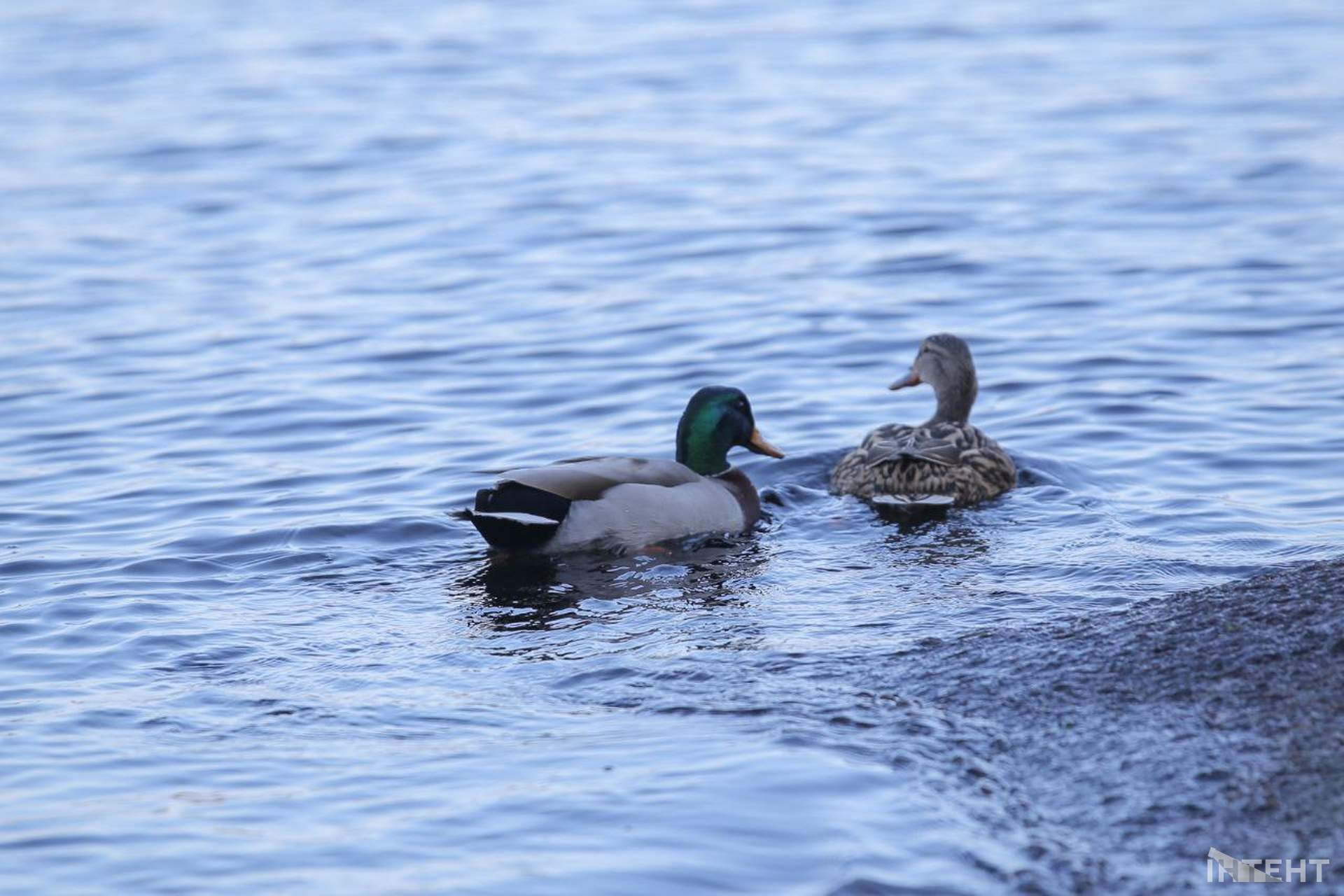 На одеські пляжі прийшла друга воєнна весна