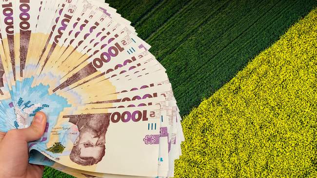 ФОТОКОЛАЖ: agropolit.com