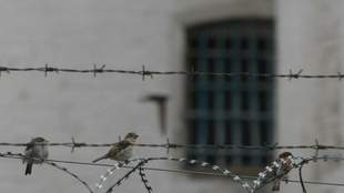 Ексміліціонер з Криму змінив присягу на рублі та отримав 14 років колонії