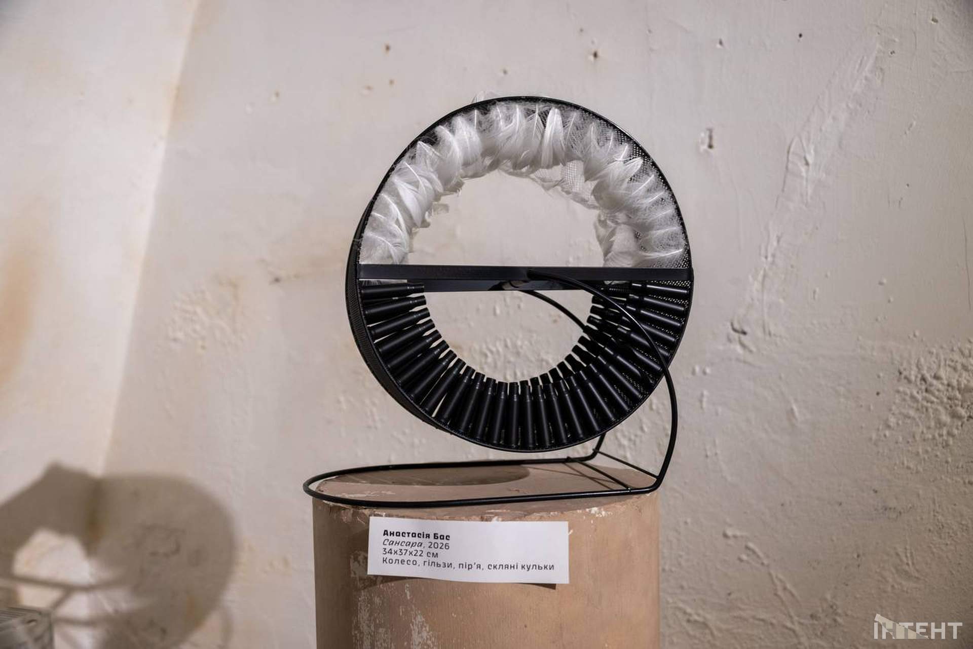 Трохи абсурду та філософії: в одеському музеї показали куди веде течія