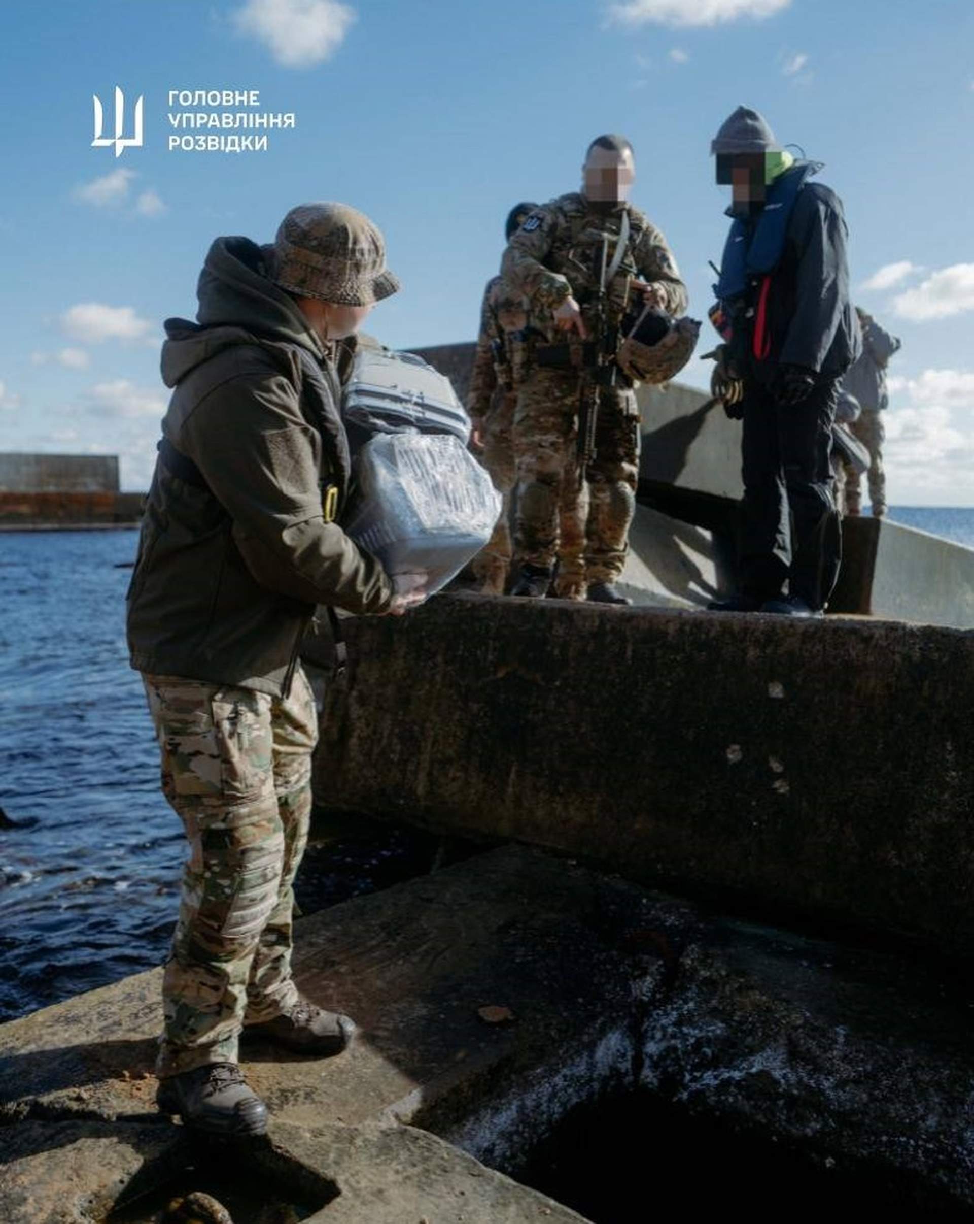 Розвідники евакуювали з острова Зміїний 15 котів
