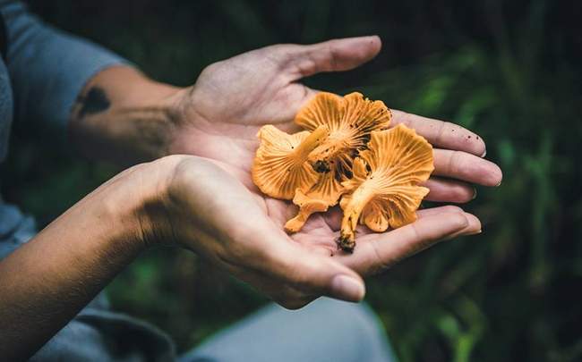 ФОТО: https://www.pexels.com/