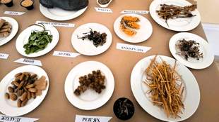 В Одесі показали архівні свідчення виживання під час Голодомору