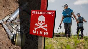 De-mining contracts in Mykolaiv region won by firms with political connections