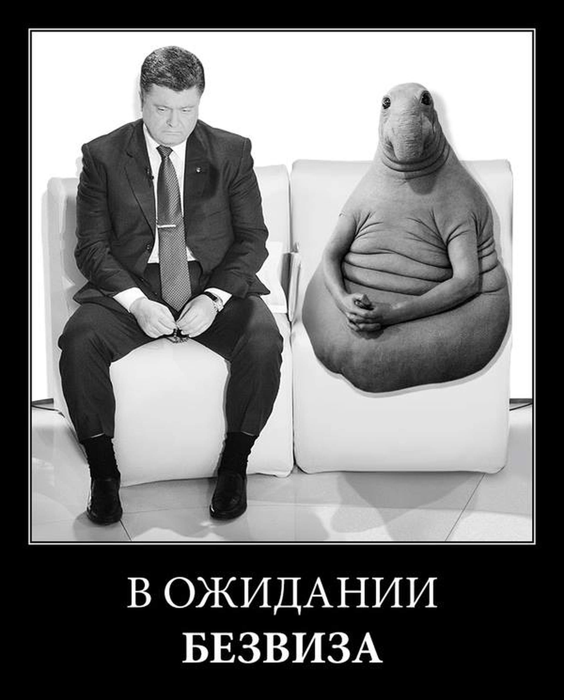 Самые популярные "ждуны" в политике: фотоподборка