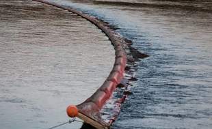 В Молдові оголосили екологічну тривогу через забруднення Дністра