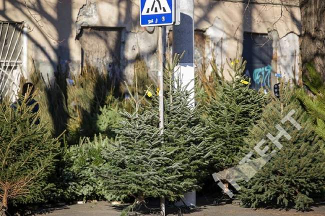 Фото: Суспільне Одеса