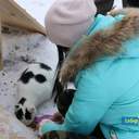 Как усатые жители Лузановки справляли новоселье