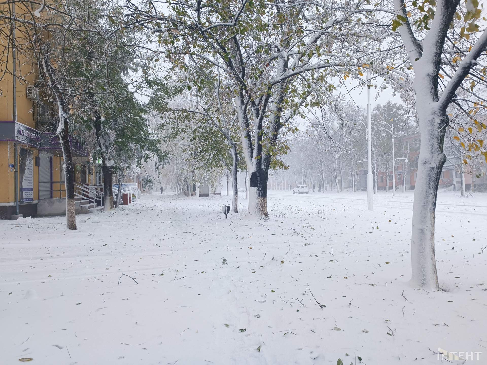 Кореспондентка Інтента прогулялася засніженим Ізмаїлом