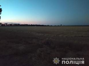 Мешканці Ізмаїльського району самовільно засіяли чужі 20 гектарів на острові