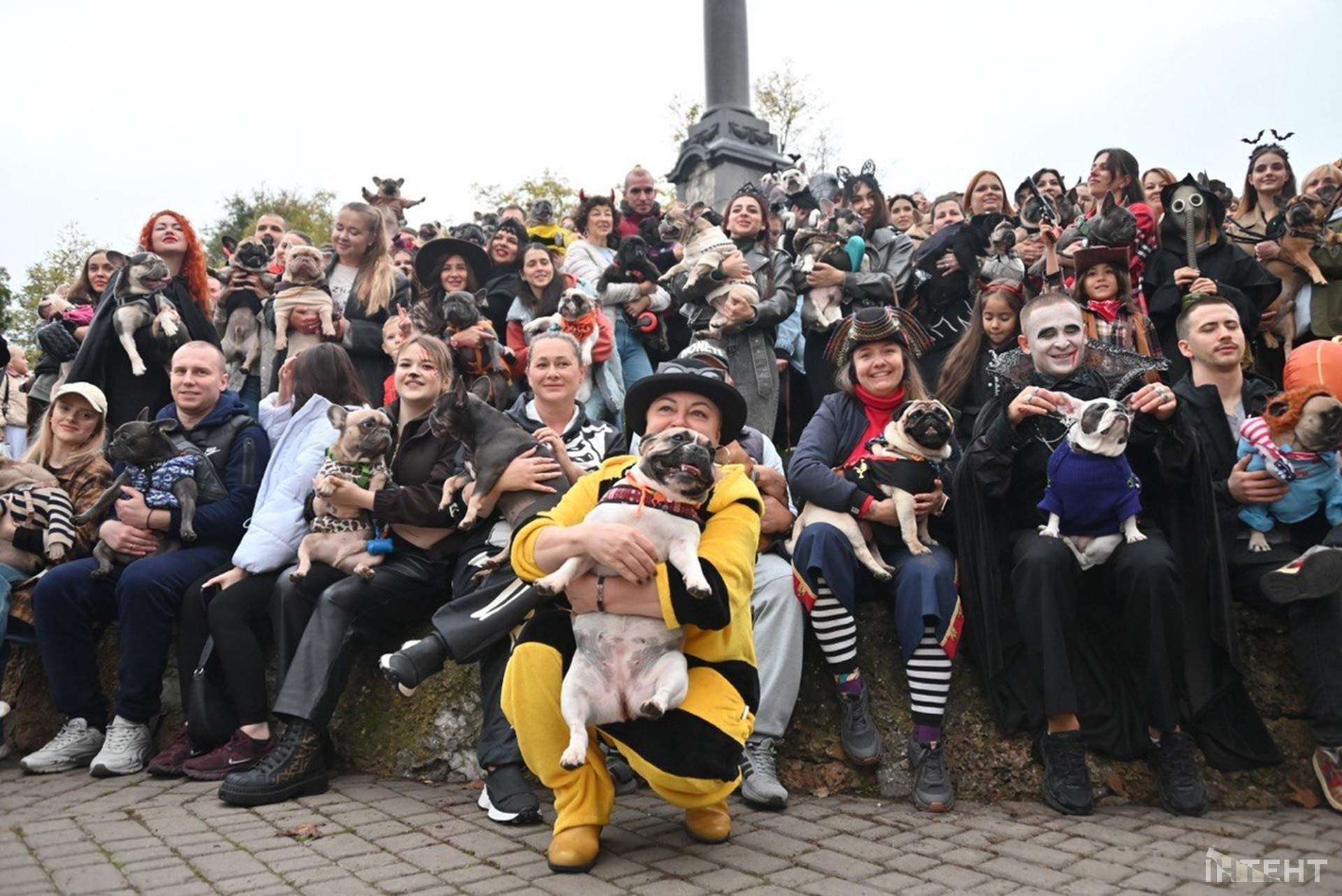 В Одесі відбулася Halloween-вечірка собак