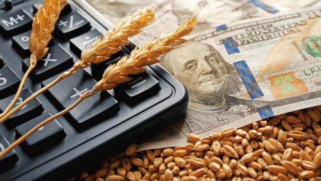 ФОТО: agrotimes.ua