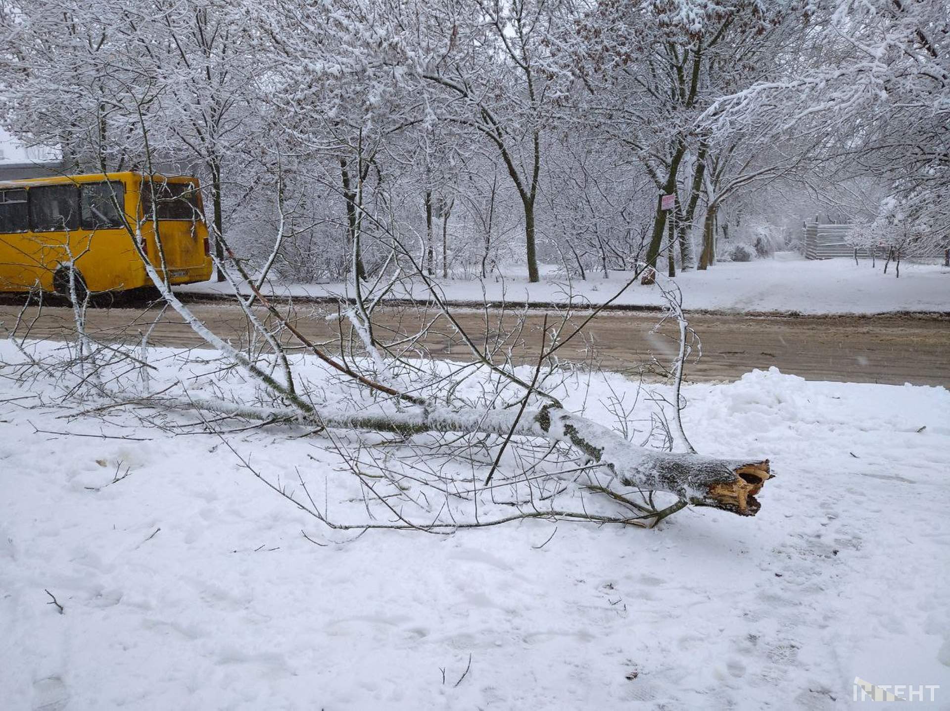 Зимова казка