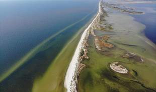 На Херсонщині через неіснуюче рішення суду землі міжнародного значення передали у приватну власність