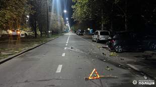 В Николаеве пьяный сын директора зоопарка устроил ДТП с пострадавшей