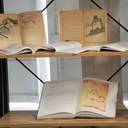 Ректор університету в Одесі розповів про найгучніше археологічне відкриття останніх років